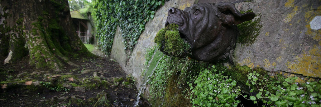Return With The Elixir: The Psychology Of Pilgrimages To The “Devil Dog” Fountain