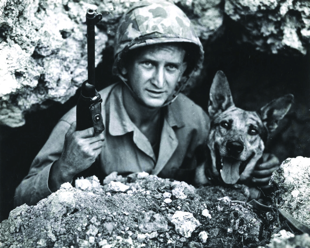The Dogs of War