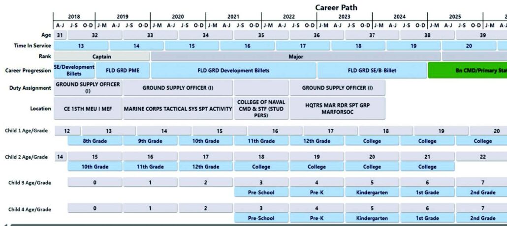 Figure 1. Career path display. (Figure provided by author.)