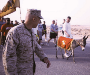 Smoke the Donkey: Marines Befriend "The Luckiest Donkey in Iraq"
